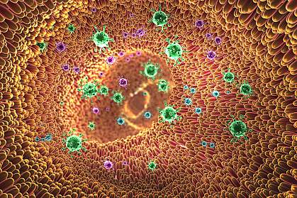 Illustration of viruses and villi in digestive tract Illustration of viruses and villi in digestive tract