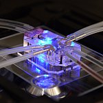 Lung on a Chip